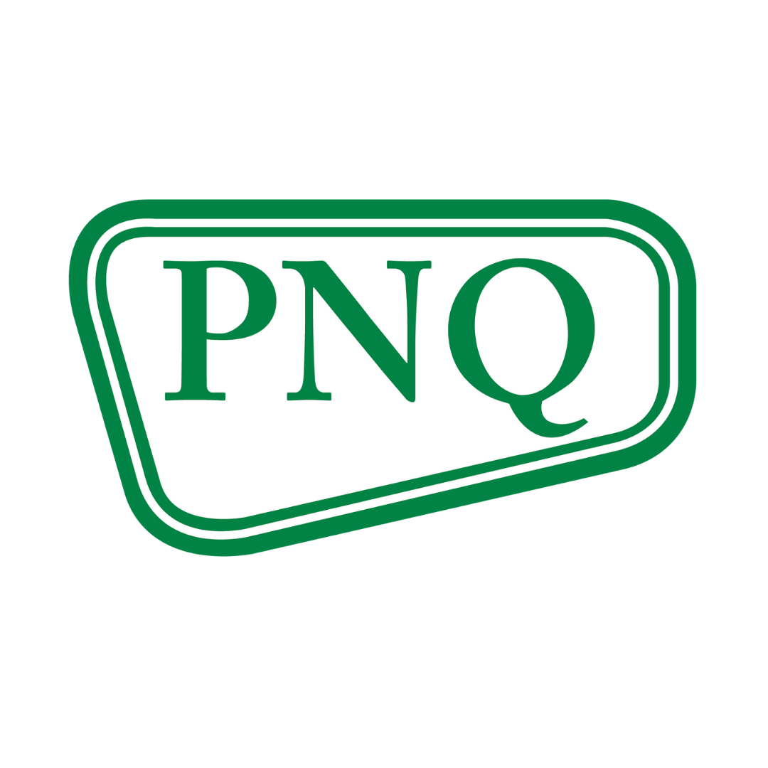 Pioneer North Queensland Logo